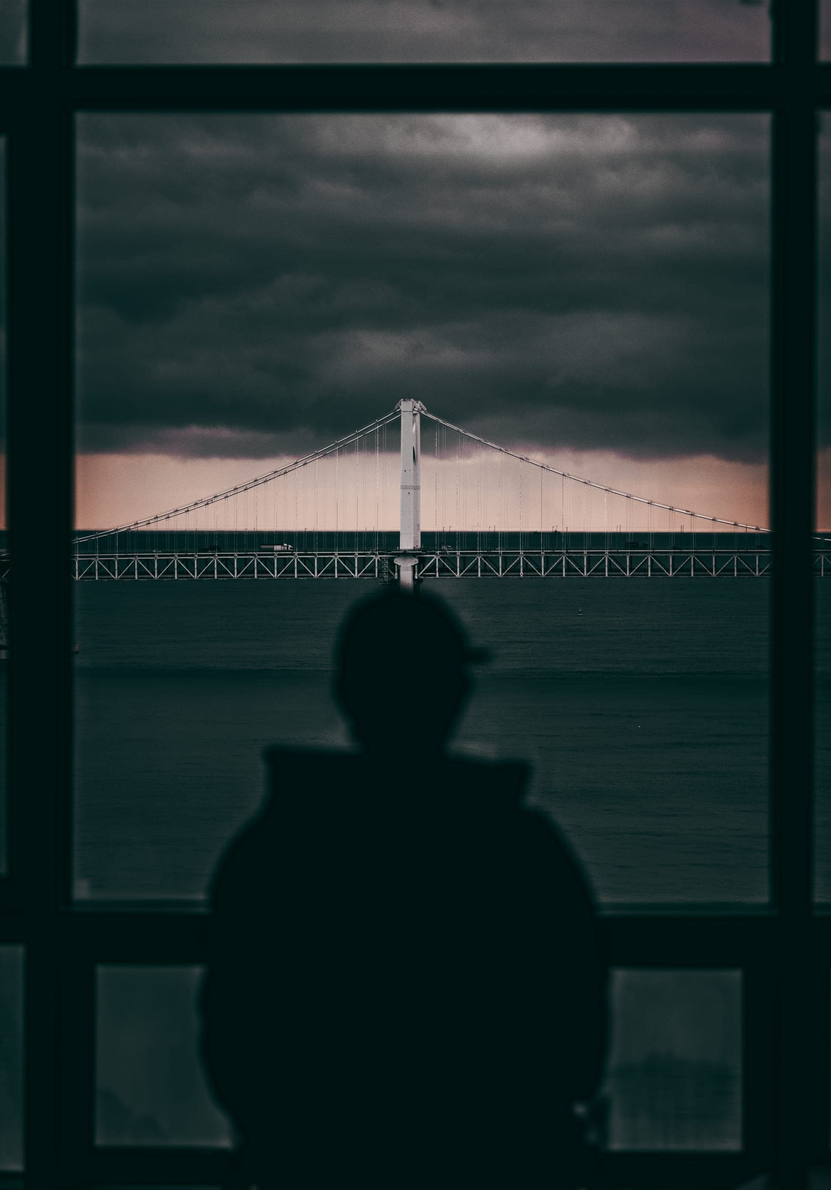 A silhouette at a window, a suspension bridge across the bay under dark clouds