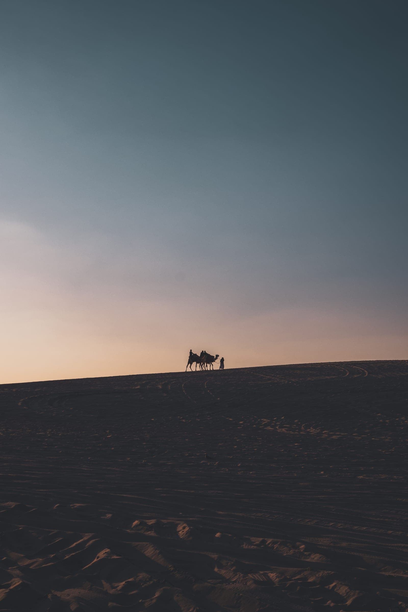 A lone camel rider on the crest of a dune at dusk