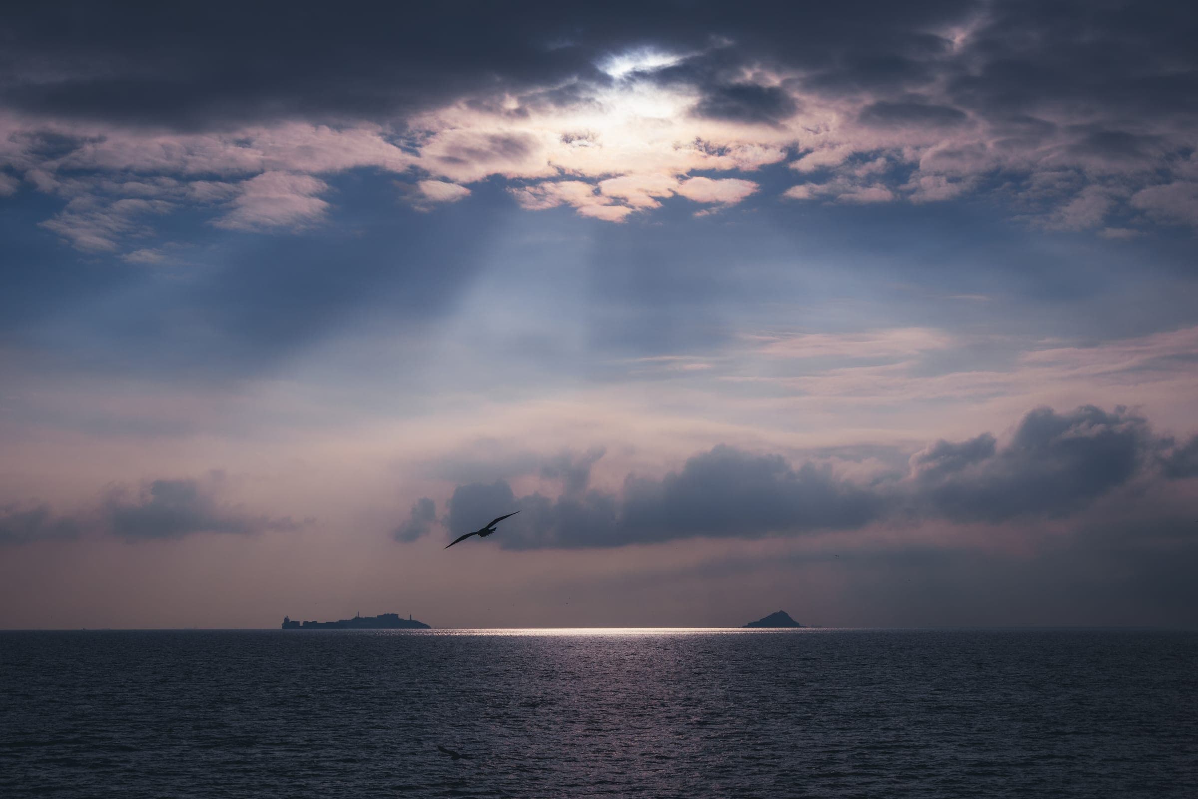 Sunbeams breaking through clouds over a calm sea, a gull and a distant island
