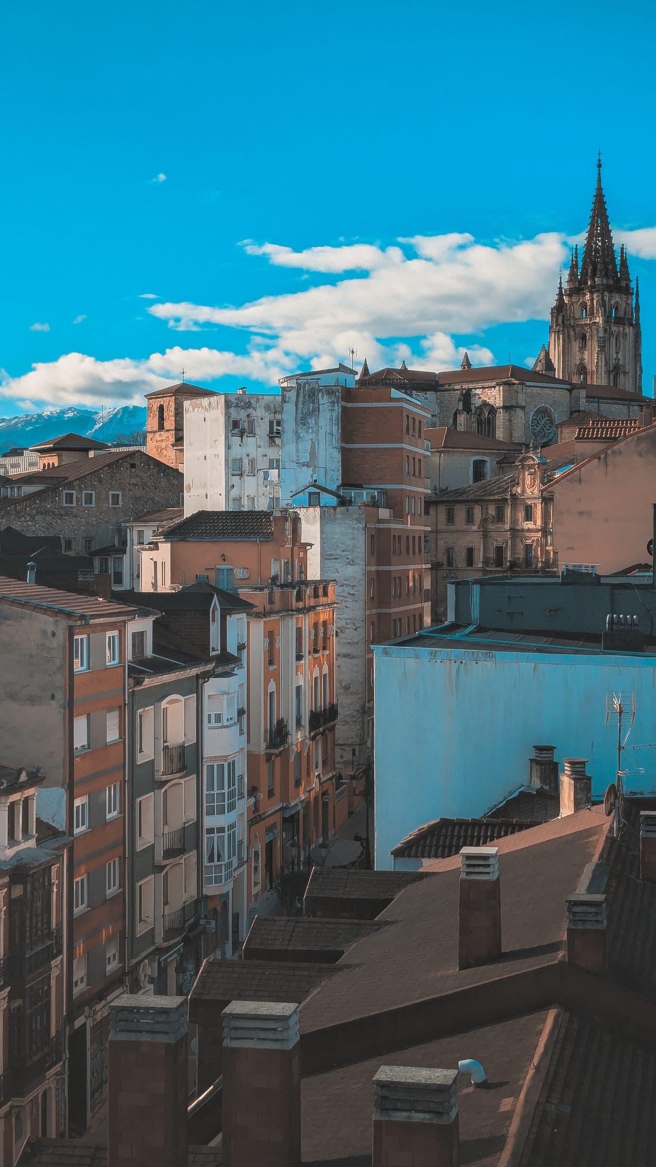 Old town rooftops with a spire rising behind them